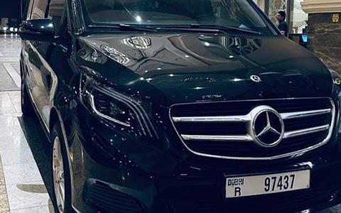Mercedes Viano