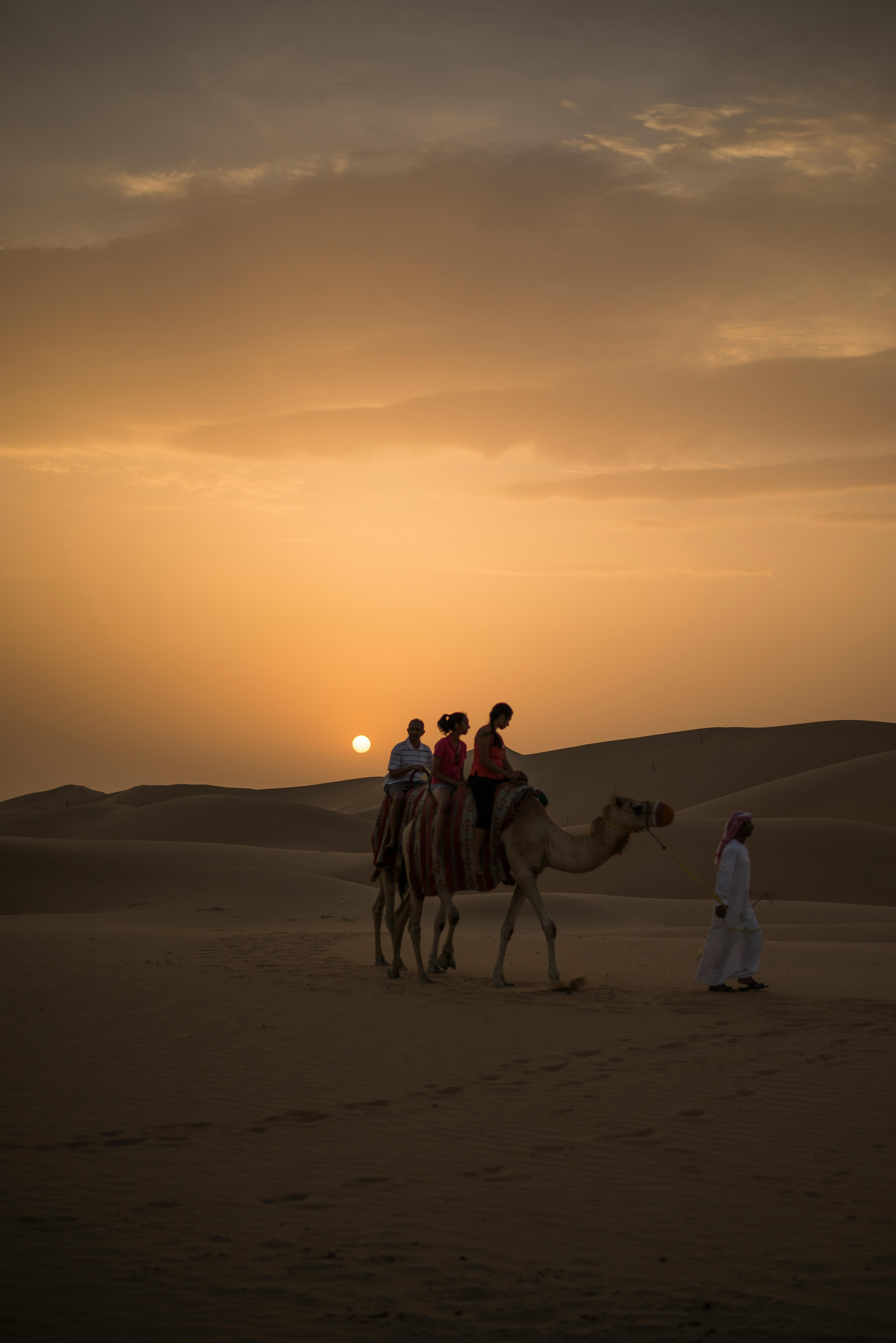 EVENINGDESERT.jpg
